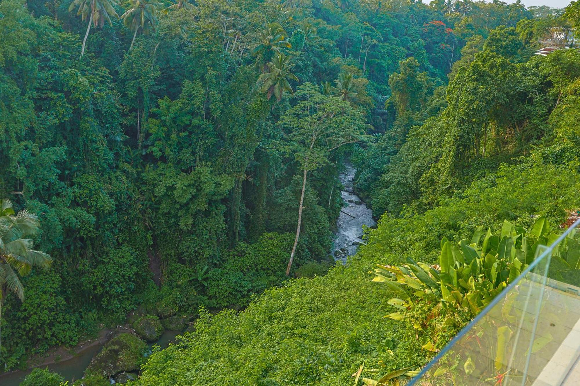Hotel Cella Bella Ubud